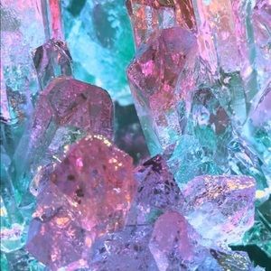 Meet your Posher, Nellie